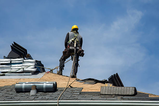 Professional Roof Replacement technician working in Danvers, MN